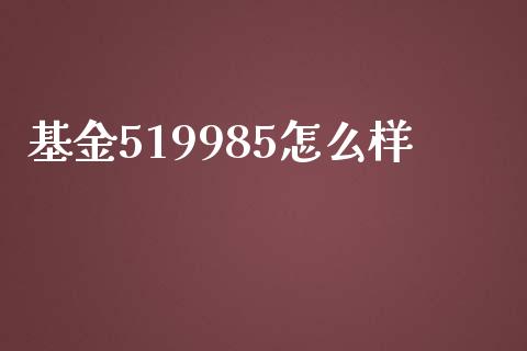 基金519985怎么样_https://m.qmgjg.com_资金管理_第1张