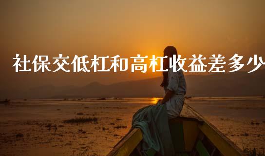 社保交低杠和高杠收益差多少_https://m.qmgjg.com_货币基金_第1张