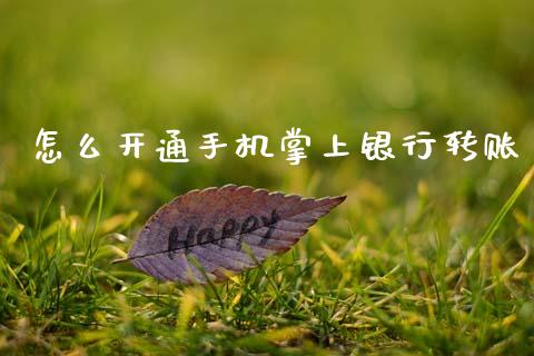 怎么开通手机掌上银行转账_https://m.qmgjg.com_货币基金_第1张