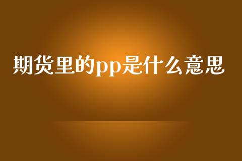 期货里的pp是什么意思_https://m.qmgjg.com_货币基金_第1张