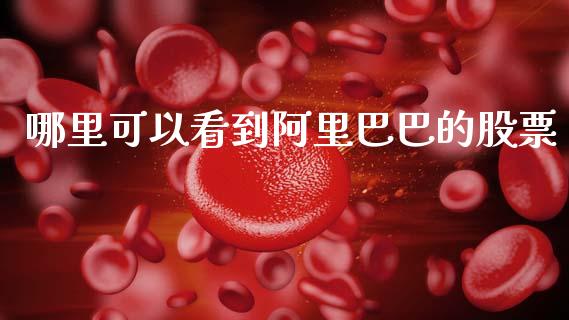 哪里可以看到阿里巴巴的股票_https://m.qmgjg.com_投资银行_第1张