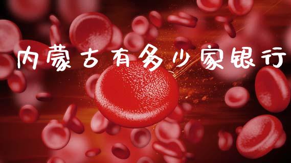 内蒙古有多少家银行_https://m.qmgjg.com_货币基金_第1张