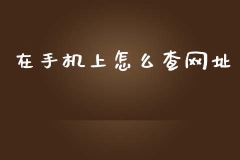 在手机上怎么查网址_https://m.qmgjg.com_资金管理_第1张