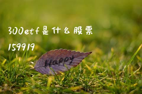 300etf是什么股票 159919_https://m.qmgjg.com_货币基金_第1张