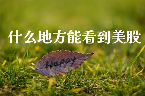 什么地方能看到美股_https://m.qmgjg.com_货币基金_第1张