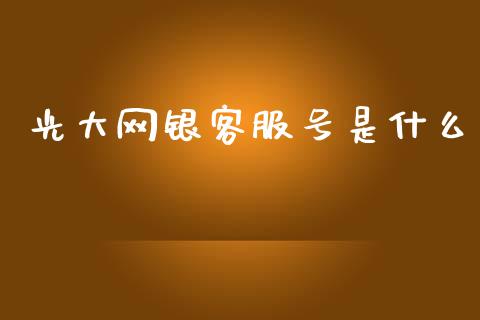 光大网银客服号是什么_https://m.qmgjg.com_投资银行_第1张