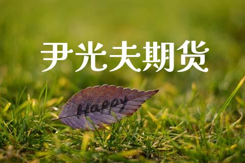 尹光夫期货_https://m.qmgjg.com_投资银行_第1张