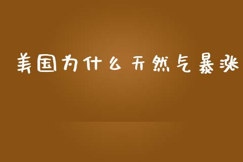 美国为什么天然气暴涨_https://m.qmgjg.com_资金管理_第1张