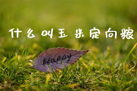 什么叫玉米定向粮_https://m.qmgjg.com_金融市场_第1张