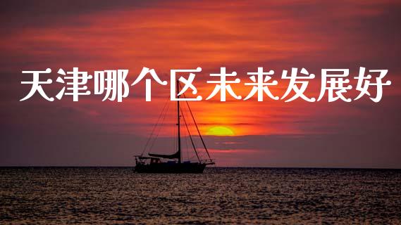 天津哪个区未来发展好_https://m.qmgjg.com_资金管理_第1张