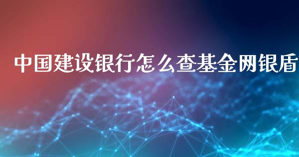 中国建设银行怎么查基金网银盾_https://m.qmgjg.com_投资银行_第1张