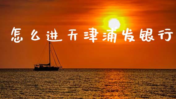 怎么进天津浦发银行_https://m.qmgjg.com_货币基金_第1张