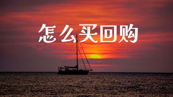 怎么买回购_https://m.qmgjg.com_货币基金_第1张