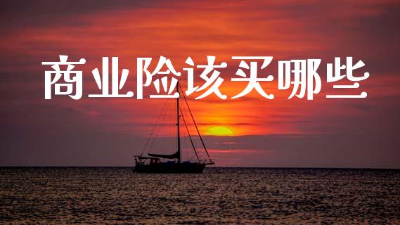 商业险该买哪些_https://m.qmgjg.com_资金管理_第1张