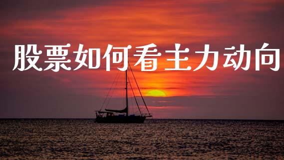 股票如何看主力动向_金融市场_第1张_资金管理_投资银行_金融市场_货币基金 股票如何看主力动向_https://m.qmgjg.com_金融市场_第1张