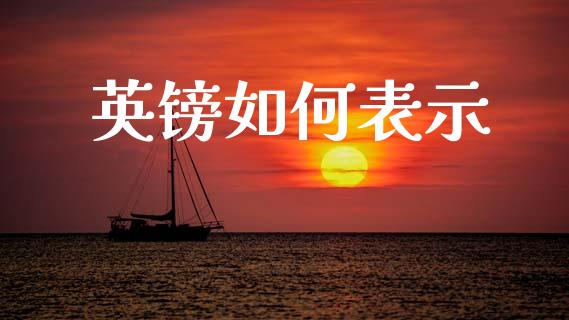 英镑如何表示_https://m.qmgjg.com_货币基金_第1张