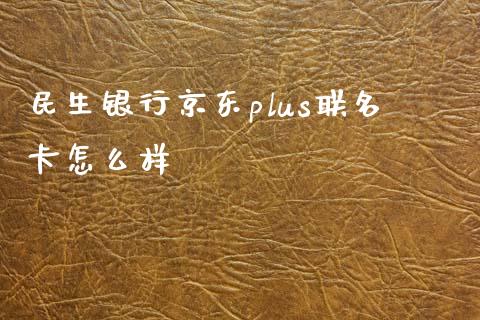 民生银行京东plus联名卡怎么样_https://m.qmgjg.com_货币基金_第1张