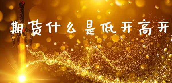 期货什么是低开高开_https://m.qmgjg.com_金融市场_第1张