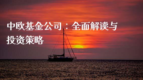 中欧基金公司：全面解读与投资策略_https://m.qmgjg.com_金融市场_第1张