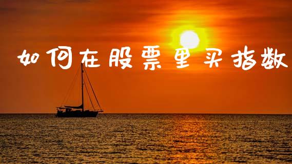 如何在股票里买指数_https://m.qmgjg.com_资金管理_第1张