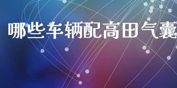 哪些车辆配高田气囊_https://m.qmgjg.com_资金管理_第1张