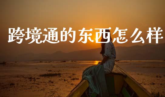 跨境通的东西怎么样_https://m.qmgjg.com_货币基金_第1张