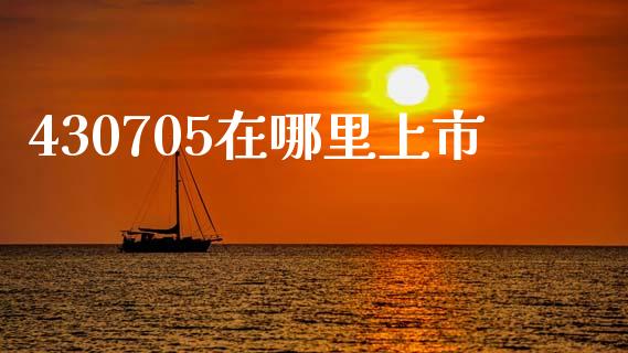 430705在哪里上市_https://m.qmgjg.com_投资银行_第1张