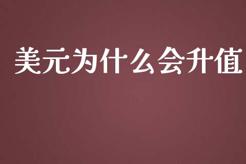 美元为什么会升值_https://m.qmgjg.com_货币基金_第1张