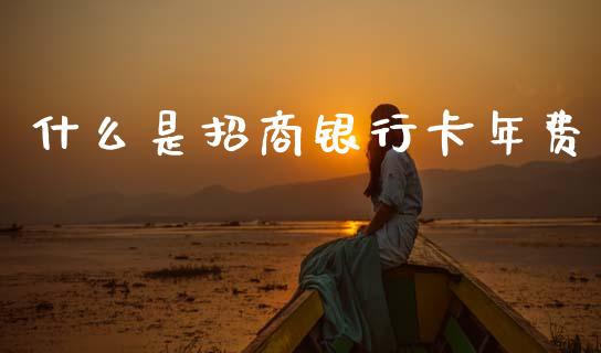 什么是招商银行卡年费_https://m.qmgjg.com_资金管理_第1张