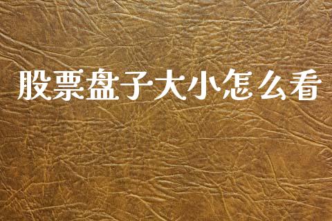 股票盘子大小怎么看_https://m.qmgjg.com_投资银行_第1张