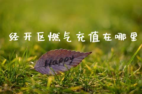 经开区燃气充值在哪里_https://m.qmgjg.com_资金管理_第1张