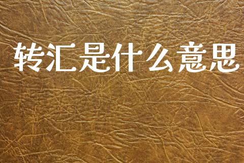 转汇是什么意思_https://m.qmgjg.com_金融市场_第1张