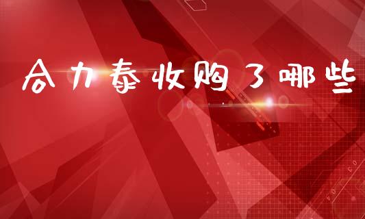 合力泰收购了哪些_https://m.qmgjg.com_货币基金_第1张