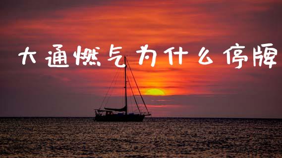大通燃气为什么停牌_https://m.qmgjg.com_货币基金_第1张