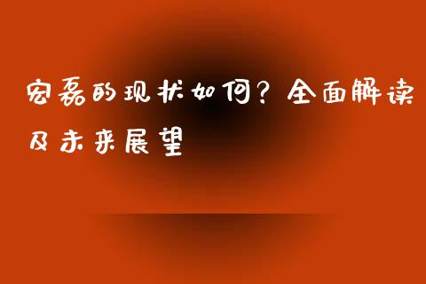 宏磊的现状如何？全面解读及未来展望_https://m.qmgjg.com_金融市场_第1张