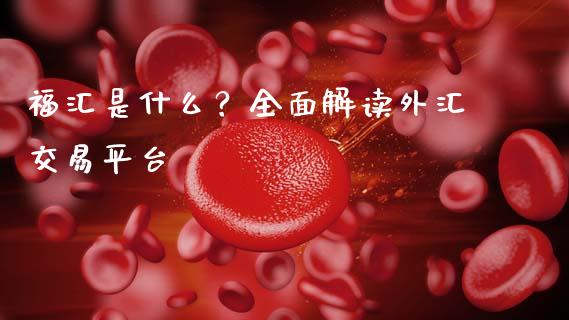 福汇是什么？全面解读外汇交易平台_https://m.qmgjg.com_资金管理_第1张