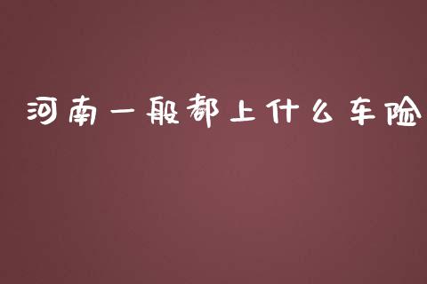 河南一般都上什么车险_https://m.qmgjg.com_金融市场_第1张