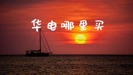 华电哪里买_投资银行_第1张_资金管理_投资银行_金融市场_货币基金 华电哪里买_https://m.qmgjg.com_投资银行_第1张