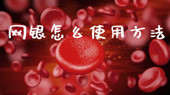 网银怎么使用方法_https://m.qmgjg.com_货币基金_第1张