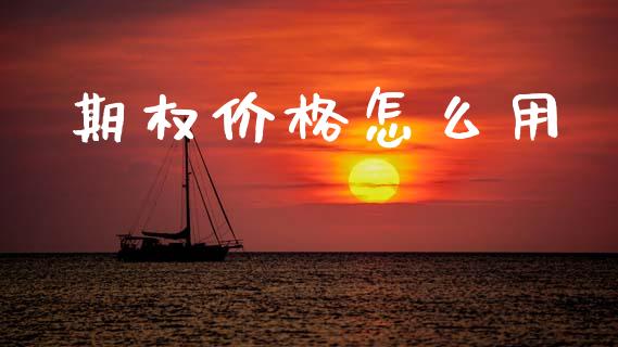 期权价格怎么用_https://m.qmgjg.com_金融市场_第1张