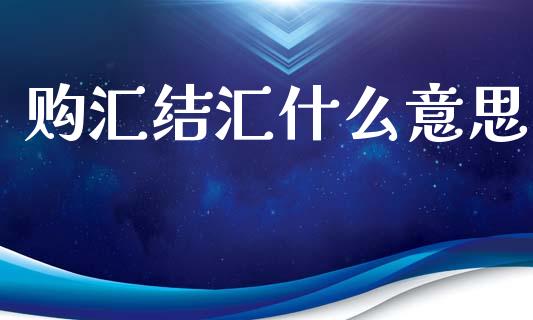购汇结汇什么意思_https://m.qmgjg.com_金融市场_第1张