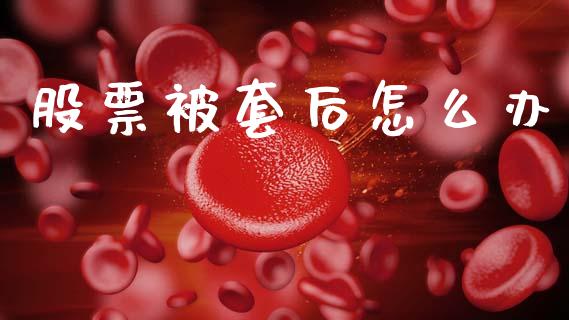 股票被套后怎么办_https://m.qmgjg.com_金融市场_第1张
