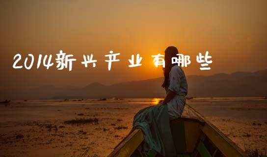 2014新兴产业有哪些_https://m.qmgjg.com_投资银行_第1张