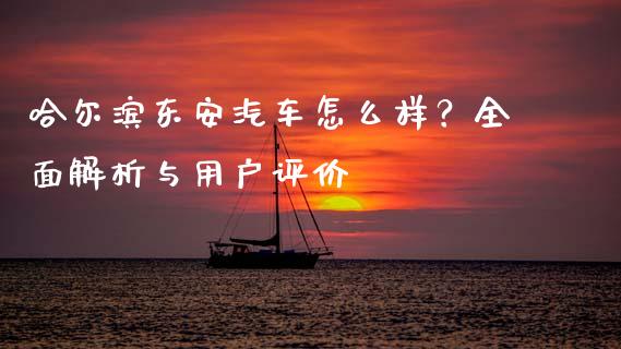 哈尔滨东安汽车怎么样？全面解析与用户评价_https://m.qmgjg.com_金融市场_第1张
