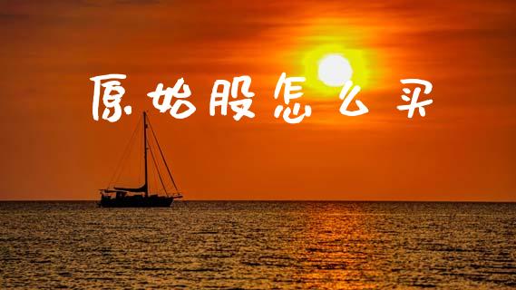 原始股怎么买_https://m.qmgjg.com_货币基金_第1张