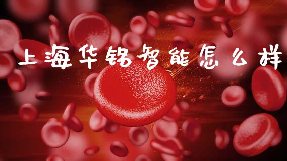 上海华铭智能怎么样_https://m.qmgjg.com_投资银行_第1张