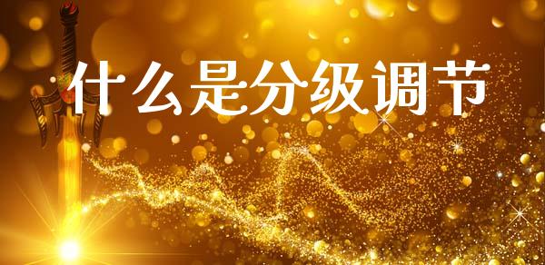 什么是分级调节_https://m.qmgjg.com_货币基金_第1张