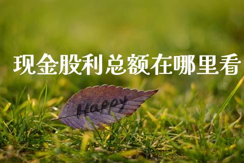现金股利总额在哪里看_https://m.qmgjg.com_金融市场_第1张
