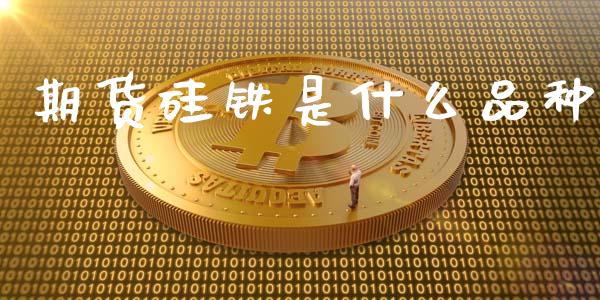 期货硅铁是什么品种_https://m.qmgjg.com_投资银行_第1张