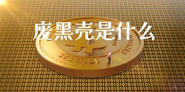 废黑壳是什么_资金管理_第1张_资金管理_投资银行_金融市场_货币基金 废黑壳是什么_https://m.qmgjg.com_资金管理_第1张